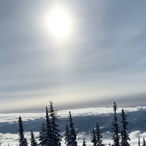 Meet your Posher, Alana